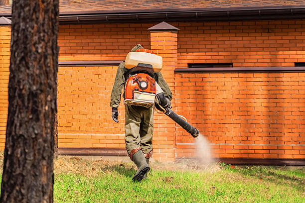 Bed Bug Clearance Verification and Documentation in Centerville